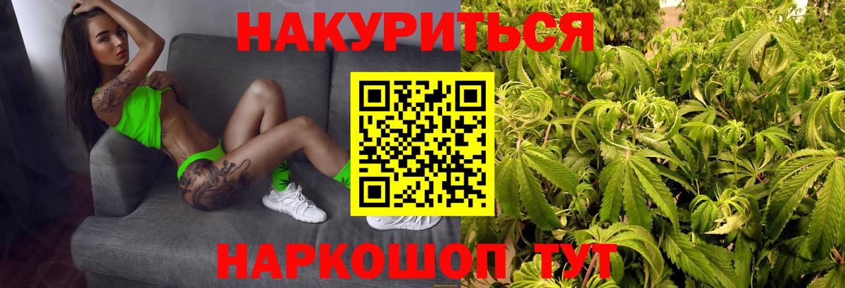 Шишки марихуана план Великие Луки